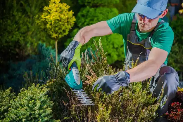 landscaping services LaBarque Creek